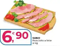 Alter Discount Prosciutto a fette offerta