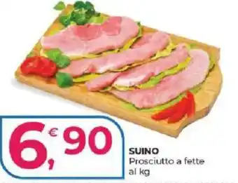 Alter Discount Prosciutto a fette offerta