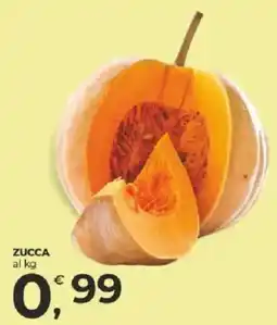 Alter Discount Zucca offerta