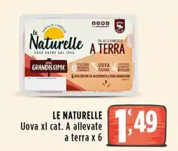 Rossotono Carrefour Le Naturelle Uova xl cat. A allevate a terra offerta