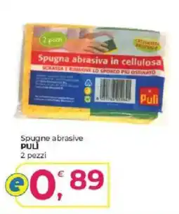 Alter Discount Spugne abrasive PULI offerta