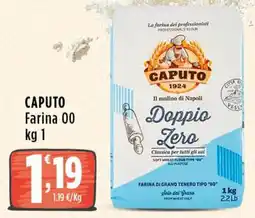 Rossotono Carrefour Caputo Farina 00 offerta
