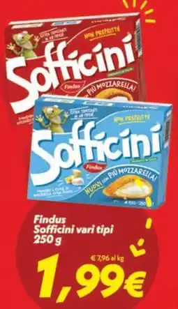 Iper Super Conveniente Findus Sofficini vari tipi offerta