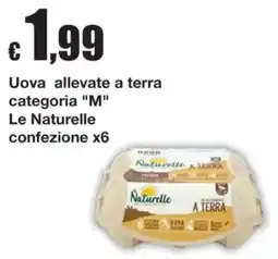Sì con te Superstore Uova allevate a terra Le Naturelle offerta
