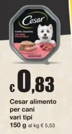 Sì con te Superstore Cesar alimento per cani offerta