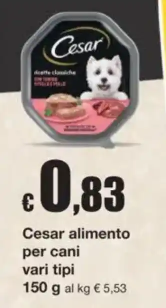 Sì con te Superstore Cesar alimento per cani offerta