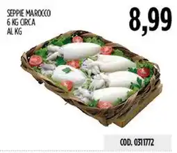Carico Cash & Carry Seppie Marocco offerta