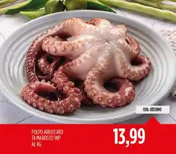 Carico Cash & Carry Polpo arricciato T4 Marocco IWP offerta