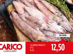 Carico Cash & Carry Calamaro Marocco offerta