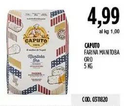 Carico Cash & Carry Caputo farina manitoba oro offerta