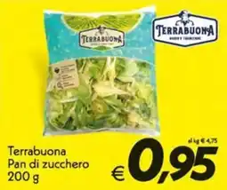Iper Super Conveniente Terrabuona Pan di zucchero offerta