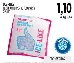 Carico Cash & Carry Ice-like il ghiaccio per il tuo party offerta
