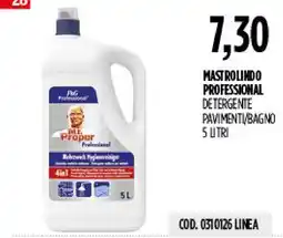 Carico Cash & Carry Mastro Lindo Professional Detergente Pavimenti/Bagno offerta