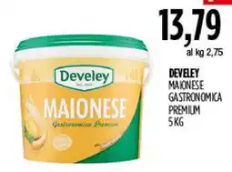 Carico Cash & Carry Develey Maionese Gastronomica Premium offerta