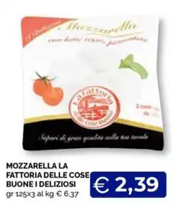 Maxisconto Mozzarella La Fattoria delle Cose Buone i Deliziosi offerta