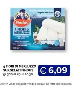 Maxisconto 4 Fiori di Merluzzo Surgelati Findus offerta