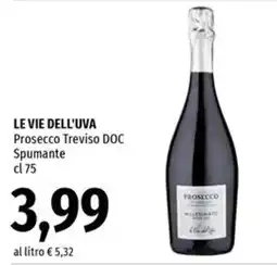 Famila Superstore Le Vie dell'Uva Prosecco Treviso DOC offerta