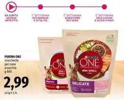 Famila Superstore Purina One crocchette per cane assortite offerta