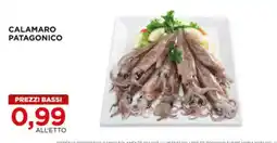 Alì Supermercati Calamaro Patagonico offerta