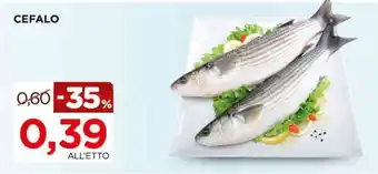 Cefalo