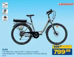 Euronics Bruno FLEX City Bike con ruote da 26" • Telaio in acciaio • ammortizzatori offerta