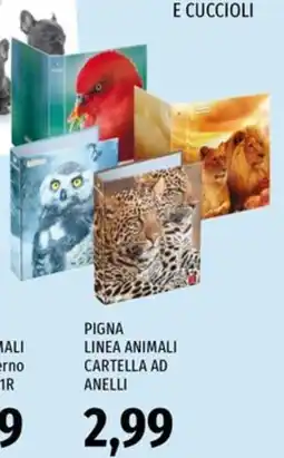Famila Superstore Pigna Linea Animali Cartella ad Anelli offerta