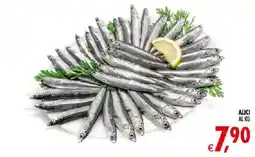 Deco Iperstore Alici offerta