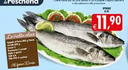 Deco Iperstore Spigole offerta