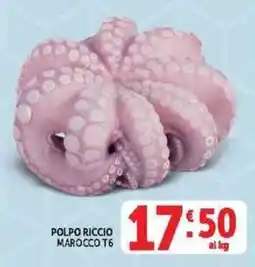 Deco Supermercati Polpo riccio Marocco T6 offerta