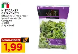 Alì Supermercati Misticanza orti veneti offerta