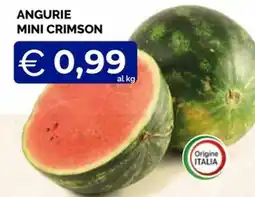 Maxisconto Angurie mini crimson offerta