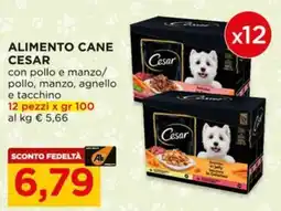 Alì Supermercati Alimento cane Cesar offerta