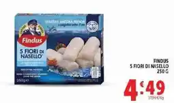Deco Supermercati Findus 5 Fiori di Nasello offerta