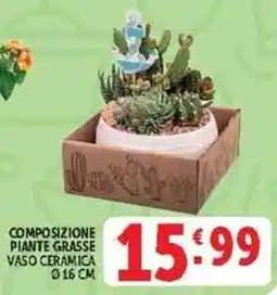 Deco Supermercati Composizione piante grasse offerta