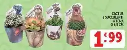 Deco Supermercati Cactus e succulenti a tema offerta