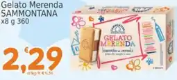Market Ingross Gelato Merenda Sammontana offerta
