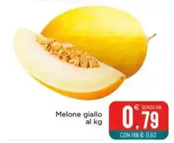 Altasfera Melone giallo offerta