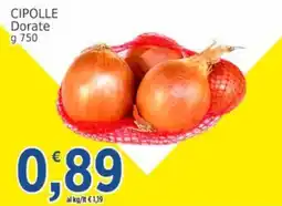 Market Ingross Cipolle Dorate offerta