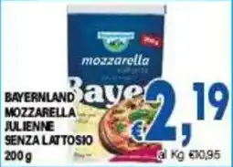 DEM Bayerland mozzarella julienne senza lattosio offerta