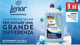 Altasfera Lenor Professional offerta