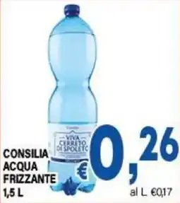DEM Consilia acqua frizzante offerta