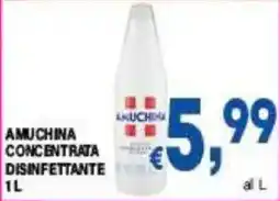 DEM Amuchina concentrata disinfettante offerta