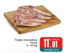Altasfera Triglia morsellina rossa offerta