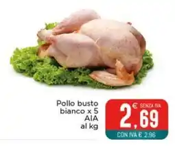 Altasfera Pollo busto bianco offerta