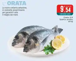 Altasfera L' Orata offerta