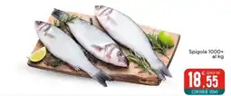 Altasfera Spigola 1000+ offerta