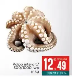 Altasfera Polpo intero t7 offerta