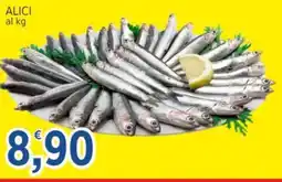 Market Ingross Alici offerta