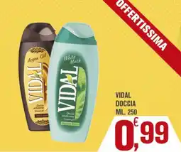 Conté Supermercati Vidal doccia offerta