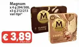 Market Ingross Magnum offerta
